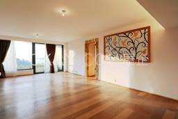 Belgravia image 3