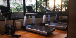 Bohemian House image 8