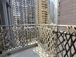 Carble Garden image 9