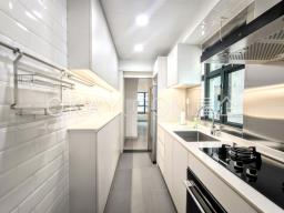 Dragon Court image 6