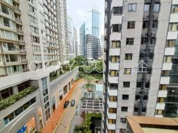 Eight Star Street image 6