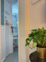 Free Wifi Internet image 8