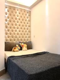 Free Wifi Internet image 8