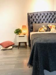 Free Wifi Internet image 5