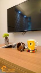 Free Wifi Internet image 4