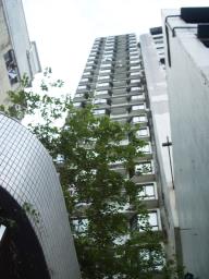 Greenville image 3