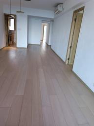 Harbour Glory image 5