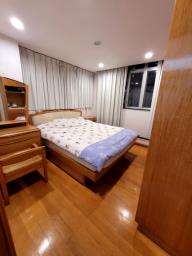 Island Building image 6