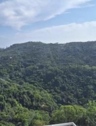 Jadebeach Villa image 1