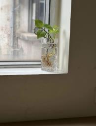 Keine Tak Mansion image 3