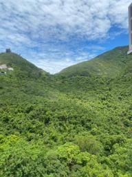 Lung Yan Courtg image 3