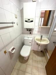 Merlin Garden image 2