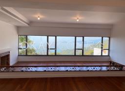 Mount Austin Estate image 6