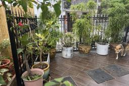 Pui O Village House image 10