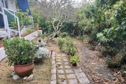 Pui O Village House image 10