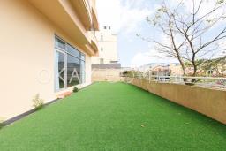 Redhill Peninsula - Palm Drive image 1