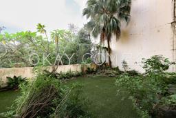 Redhill Peninsula - Palm Drive image 3