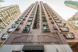 Rich View Terrace image 7