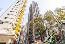 Rich View Terrace image 9