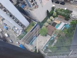 Seaside Sonata image 1