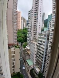 Shiu King Court image 2