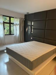 Starlight Garden image 3