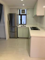 Starlight Garden image 5