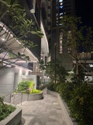 The Coast Line Ii image 5