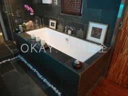 The Grand Panorama image 9