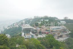 The Mount Austin image 1