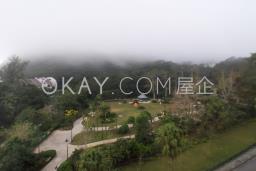 The Mount Austin image 2