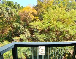 The Pavilia Hill image 1