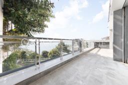 Villa Cecil - Phase 1 image 9