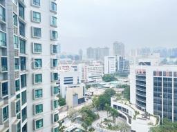 Carmens Garden image 4