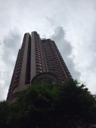 Celeste Court image 1