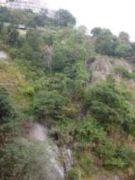 Celeste Court image 8