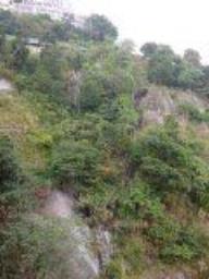 Celeste Court image 9