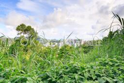 Clear Water Bay Road Villa House image 6