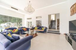 Flamingo Garden image 2