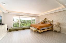 Flamingo Garden image 7