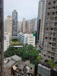 Hollywood Terrace image 6