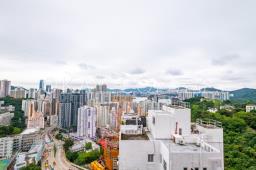 Island Garden image 5