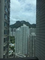 Lions Rise Tower 6b image 7