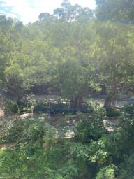 Lung Tak Court image 6