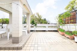 May King Court image 2