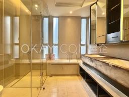 Mount Pavilia image 9