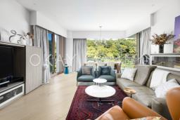 Mount Pavilia image 4