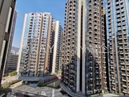 One Homantin image 5