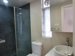 Ryan Mansion image 2