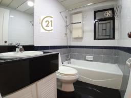 The Grand Panorama image 5